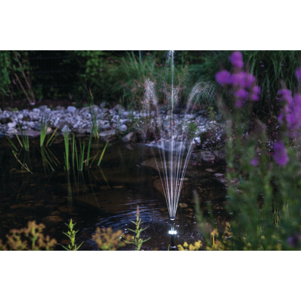 Jet d'eau illuminé par une pompe solaire jaillissant d'un étang sombre, entouré de végétation verdoyante et de pierres sur la rive. Plantes vert-brun au premier plan, fleurs violet vif à droite. Pompe de bassin Arosa avec anneau LED.
