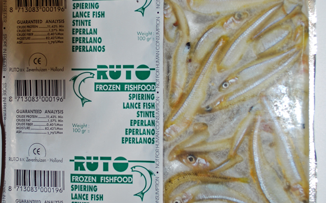 Frostfutter Stinte Blister 100g