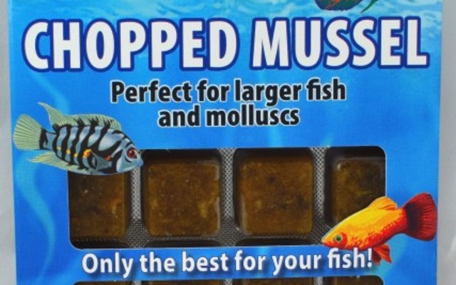 Frostfutter Mies-Muschelfleisch Blister 100g