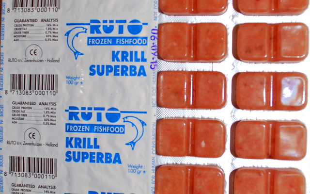 Frostfutter Krill Superba grob Blister 100g